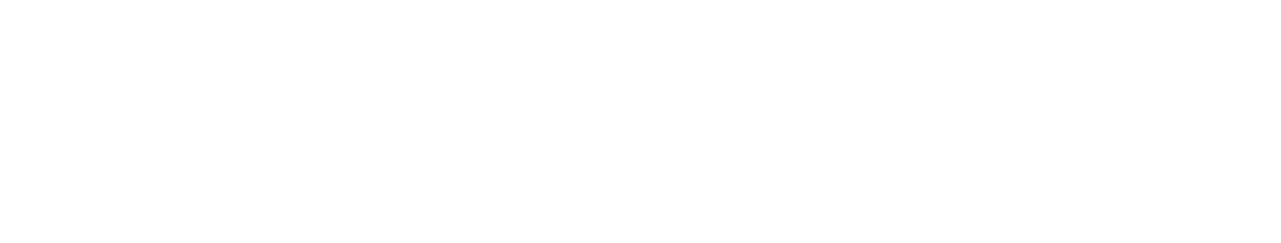 smoke & barrels long logo